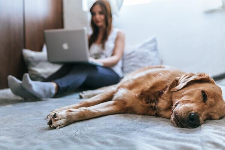 woman and dog on bed