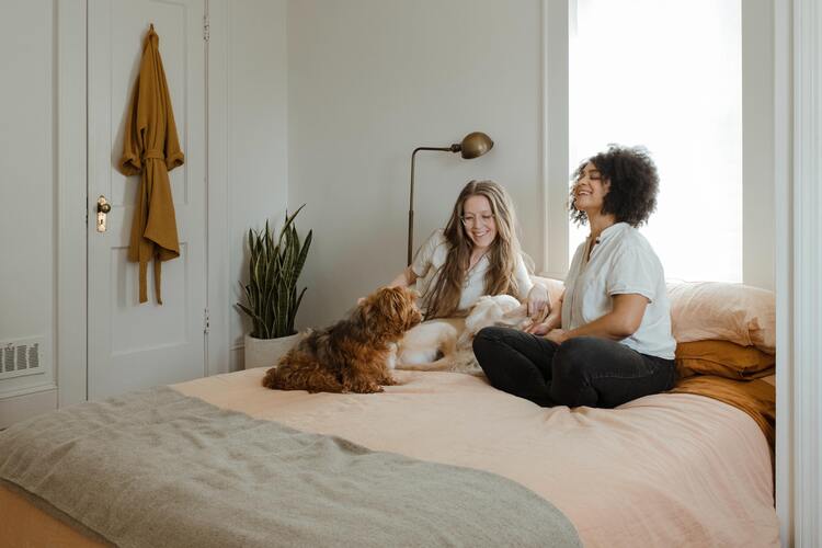 people talking on bed with dog